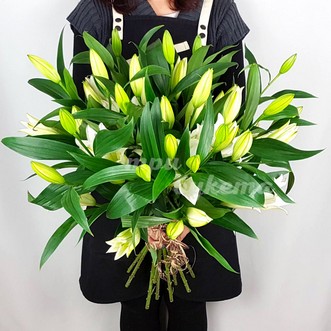 11 белых лилий