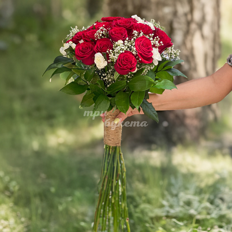 Высокие красные розы с белыми гвоздиками (общий план)