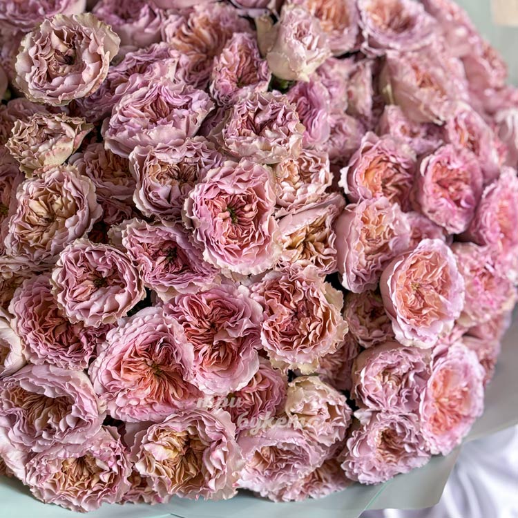 Букет пышных пионовидных кустовых роз (крупный план)